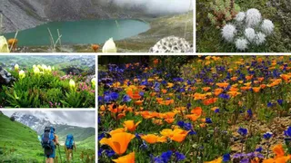 World-Heritage-Site-Valley-of-Flowers-in-Uttarakhand-1781870012159_m.webp